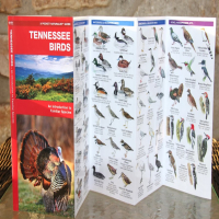 State Pocket Naturalist Guides